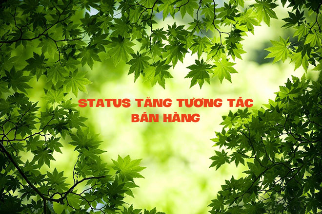 Stt tăng tương tác bán hàng trên mạng xã hội thu hút khách hàng hiệu quả