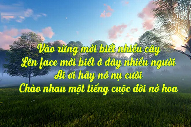 Stt tăng tương tác bán hàng trên mạng xã hội thu hút khách hàng hiệu quả Vao rung moi biet nhieu cay - Stt tăng tương tác bán hàng trên mạng xã hội thu hút khách hàng hiệu quả