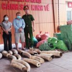 tin tức 24/7 trong ngày
